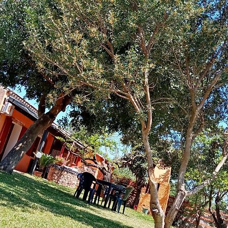 مبيت وإفطار Masainas Is Cuccus المظهر الخارجي الصورة